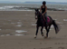 14.2/3H - 4Yo - Irish - Bay - Gelding