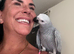 African Grey baby girl