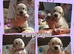 Kc registered big chunky pups