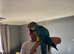 BLUE & GOLD MACAW, 2 YEARS OLD, COMPLETE SETUP