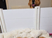 8 Beautiful Golden Retriever Puppies Looking for Their Forever Families