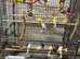 Border canaries