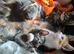4 female kittens for looking for new homes
