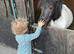 Beautiful boy looking for a loan or forever home