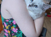 Reduced TICA EU champion line ragdoll kitten