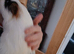 Female guinea pig + cage + food