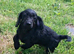 Beautiful Daxi Poos