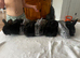 Beautiful mini lion lop bunnies