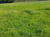 Laurel Meadow stables Sunbury on Thames