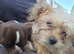 2 little boys