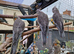 3 cockatiel chicks ready now 8 weeks old