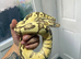 Firefly Enchi BP