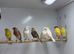 Canaries
