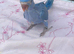 Indian Ringneck Parakeets