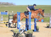 Broodmare/Fun Allrounder