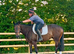 Very Sensible Tb Filly