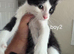 Tom&jerry