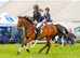 Luxe- 9 years old, 15&rsquo;2 stunning bay thoroughbred mare.