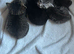 Ragdoll x 4 beautiful kittens for sale
