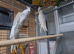 young cockatiels