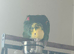 Double yellow headed Amazon
