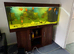 Juwel 450 litre fish tank