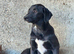 BELLA – The Little Girl Learning That People Can Be Kind