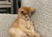 3 STUNNING GIRLS URGENTLY NEEDING HOMES