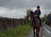 17.2hh draft mare , weight carrying ,novice ride