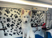White German Shepherd Dog at Stud - FREE until Proven