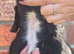 Beautiful black working cocker spaniel puppies