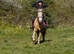 13.3H - 11Yo - Palomino - Mare