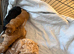 Beautiful litter of f1b cockapoos