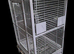 Large Parrots cage
