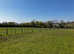 Grazing available Nr Gillingham Dorset