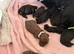 Beautiful working cocker spaniel puppies