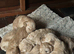 Cockapoo puppies Almost ready to go