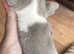 Chihuahua pups