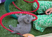 Beautiful British shorthair kittens
