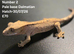 Dalmatian Juvenile crested geckos with full Lineage