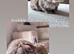 Gorgeous lop eared bunnies