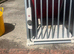 Terrier dog box