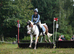 13.3hh experienced fun alrounder