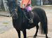 Lead rein first ridden