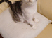 Two female kitten looking for a loving home