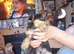 Yorkie pups