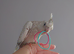 Hand reared silly tame DNA sexed baby cockatiels