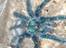 Assorted tarantulas / reptile enclosures and equipment