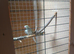 male ringneck