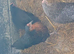 Point of lay/ laying hens